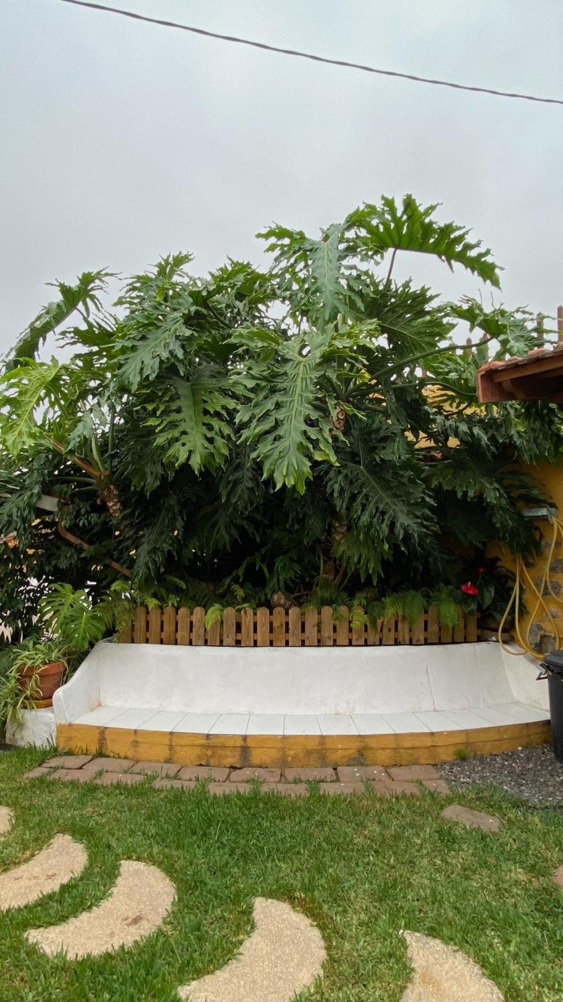Casa Rural La Ganania ลอส เรอาเลคอส ภายนอก รูปภาพ